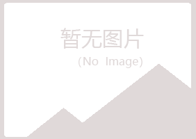 青州夏岚广告业有限公司